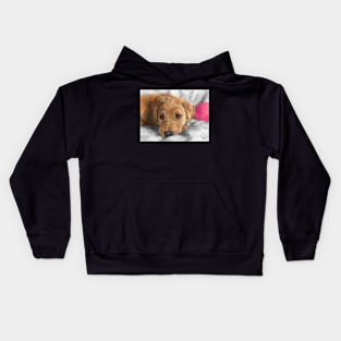 Sweet Golden Retriever Puppy Kids Hoodie